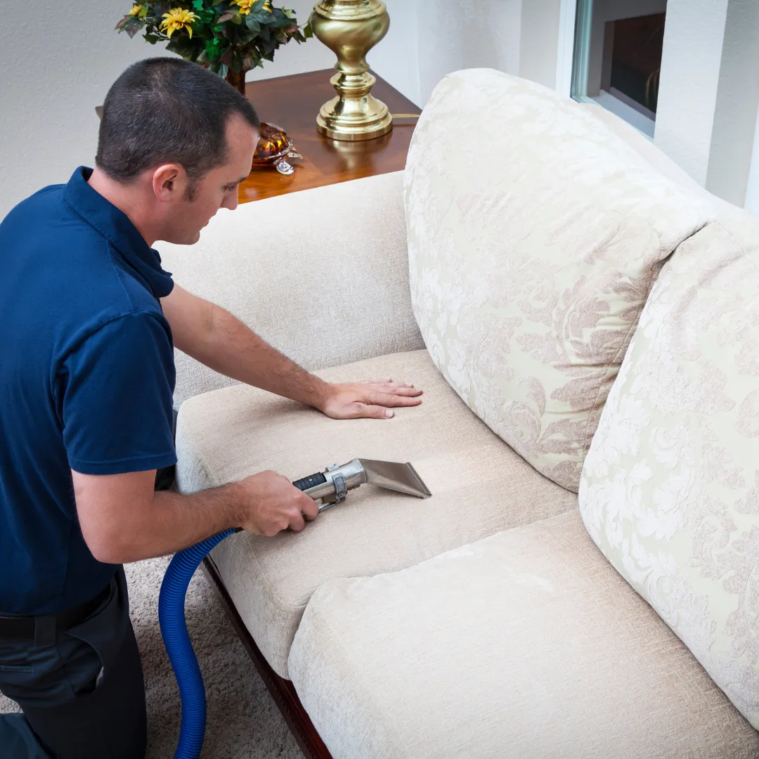 Upholstery Cleaning