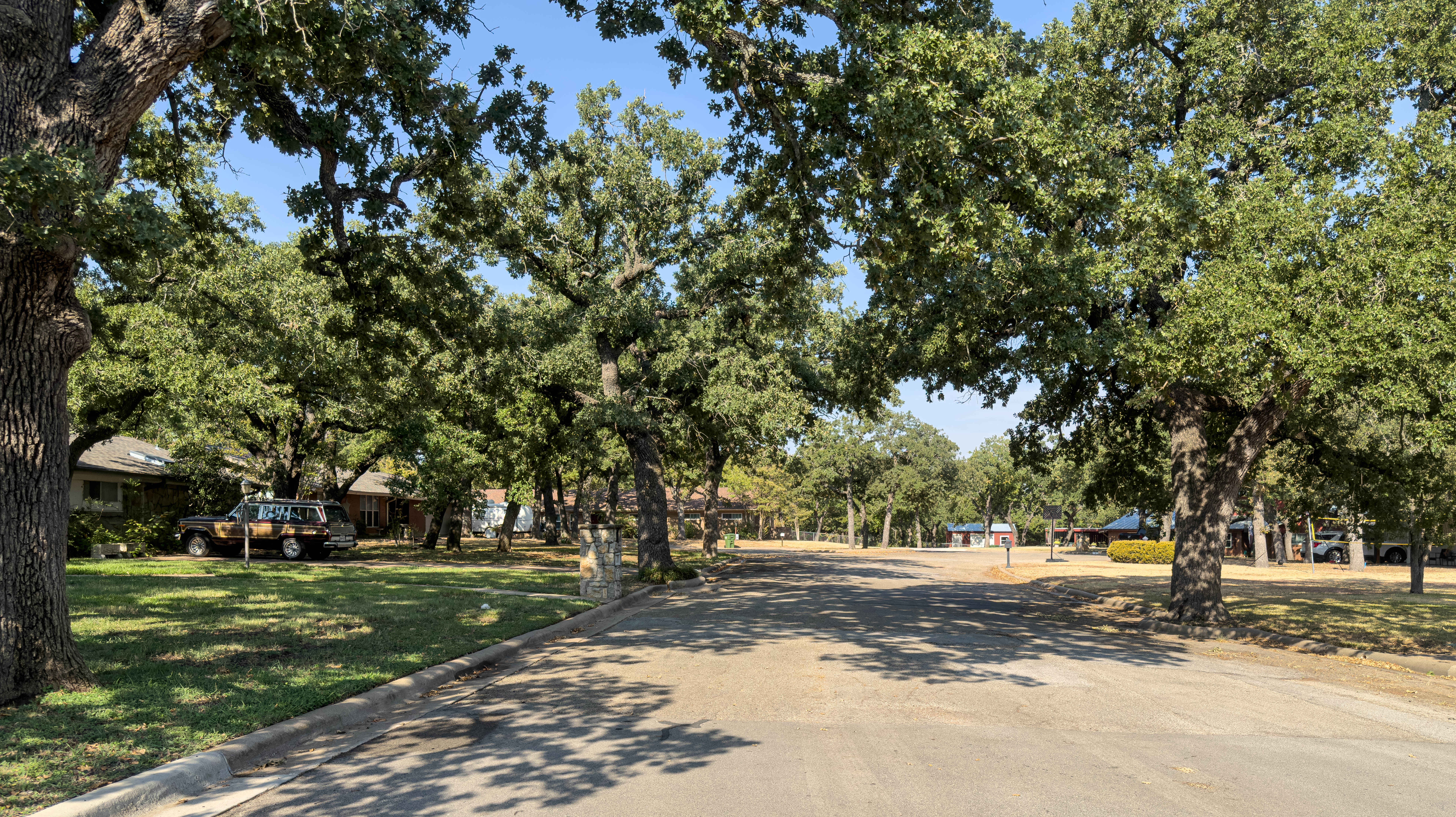 Mature tree-lined residential street in Northwest Mineral Wells, Texas