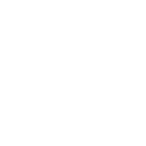 Fiduciary Wealth Management Portfolio Investment Strategies