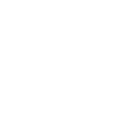 Retirement Income and Social Security