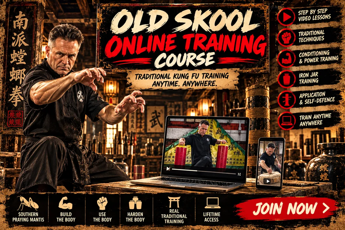 Can You Learn Kung Fu Online?