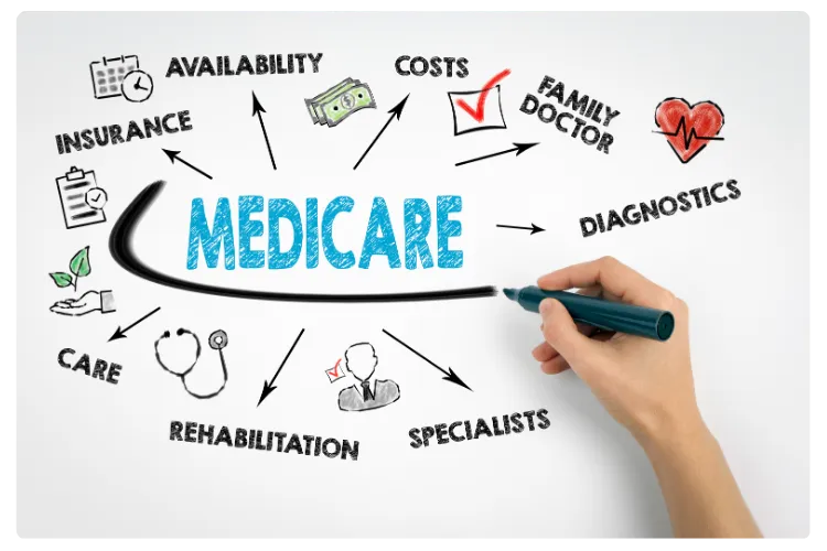 Medicare Information Hub Florida