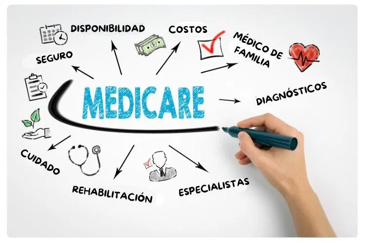 Medicare Information Hub Florida