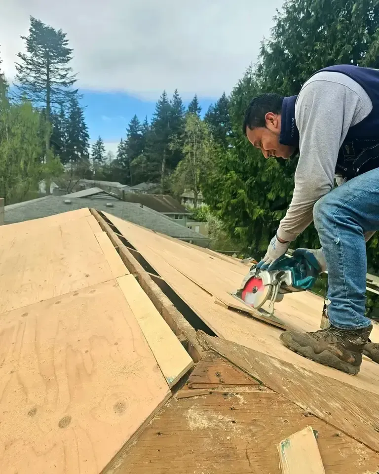 Roofer cutting plywood decking during a roof repair, replacing damaged sheathing on a residential home surrounded by trees.