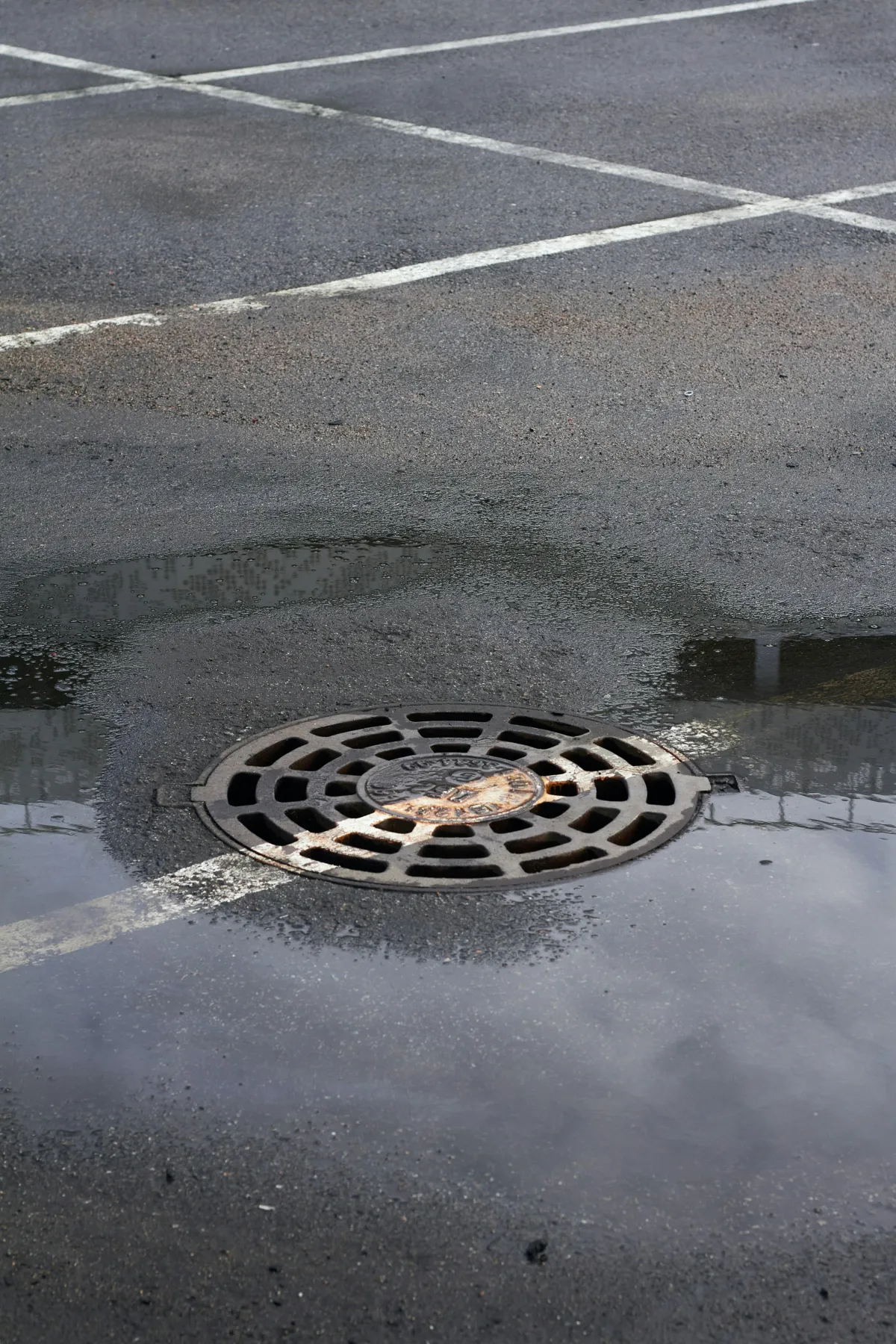 Blocked Drain? Suspect a Problem Underground?