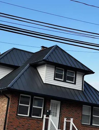 Metal Roofing