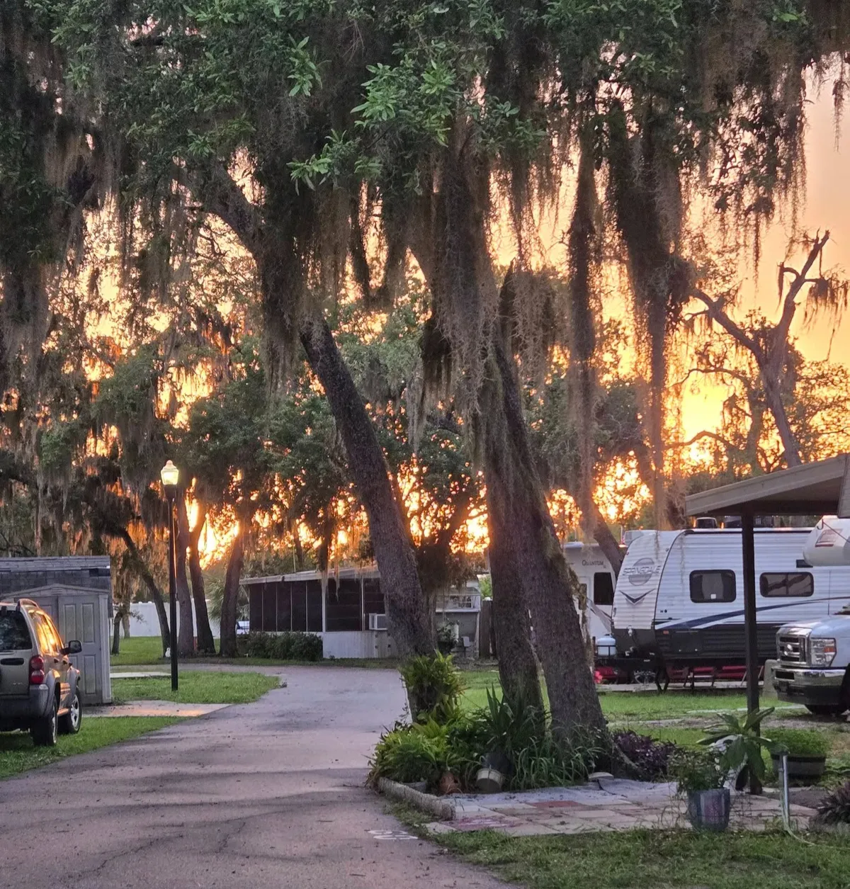 Street with spanish moss overhanging a Hammondell camprounds