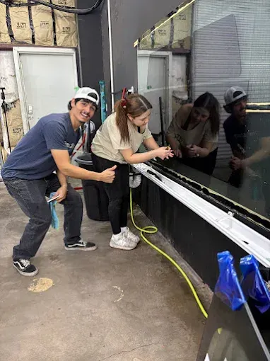 Picture of ONYX Tint employees