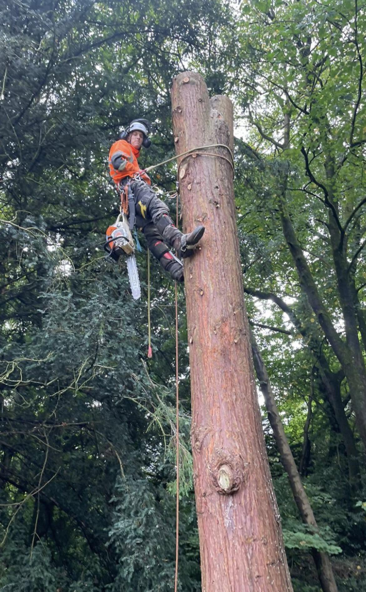 Louis Whittaker Tree Services team working on site
