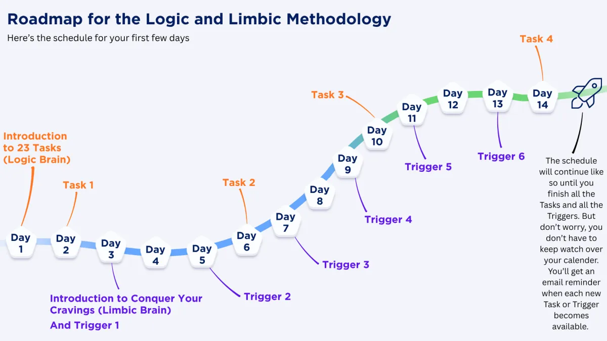 roadmap for the logic and limbic methodology weight loss program