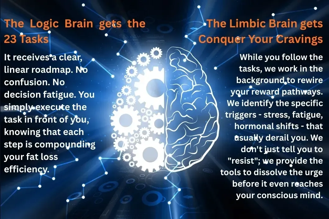 A weight loss solution that targets both your logic and limbic brain