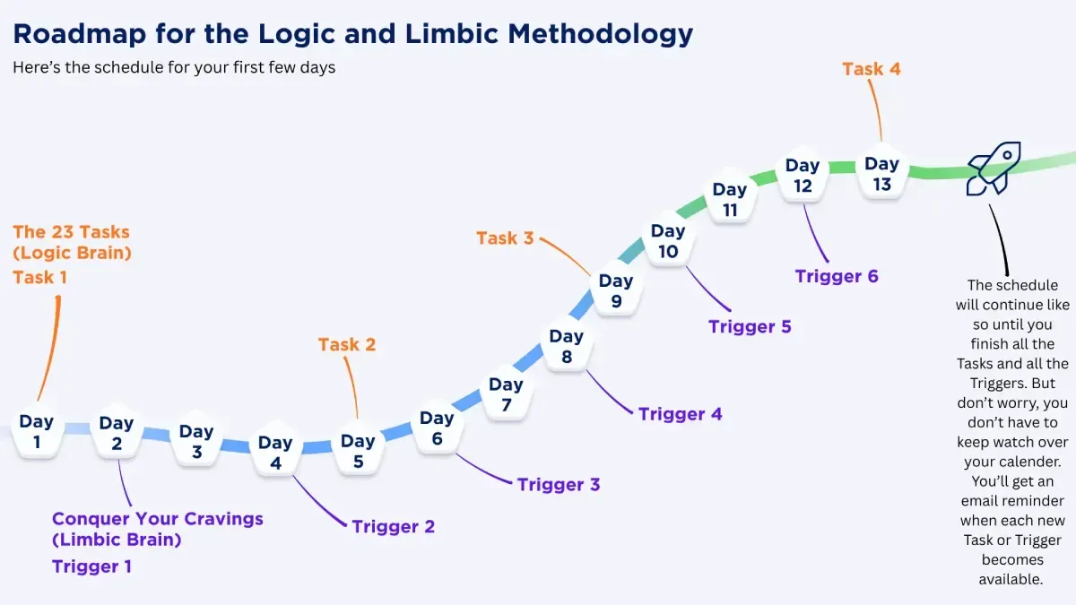 roadmap for the logic and limbic methodology weight loss program
