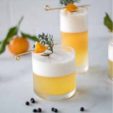 Two cocktails with foam and citrus garnish.