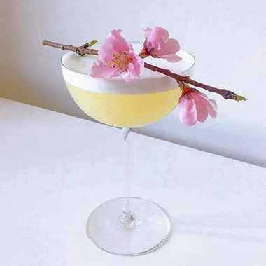Cocktail in a coupe glass with floral garnish.