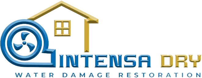 Intensa Dry Logo