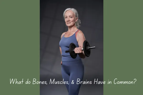 Bones, Muscles & Brains: Creatine