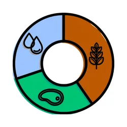 Macronutrients in Wellness and Nutrition Coaching