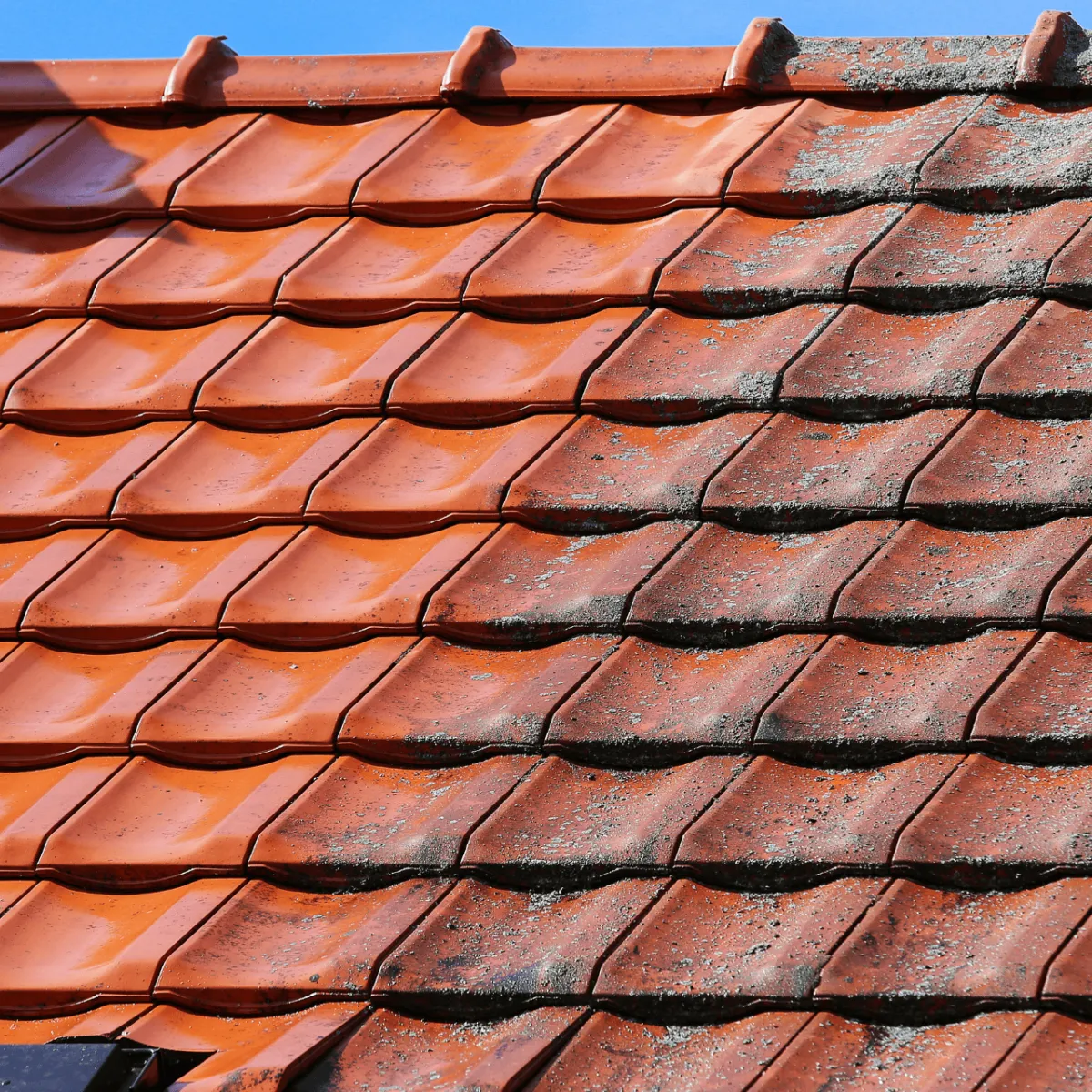Roof Cleaning in Adelaide CBD