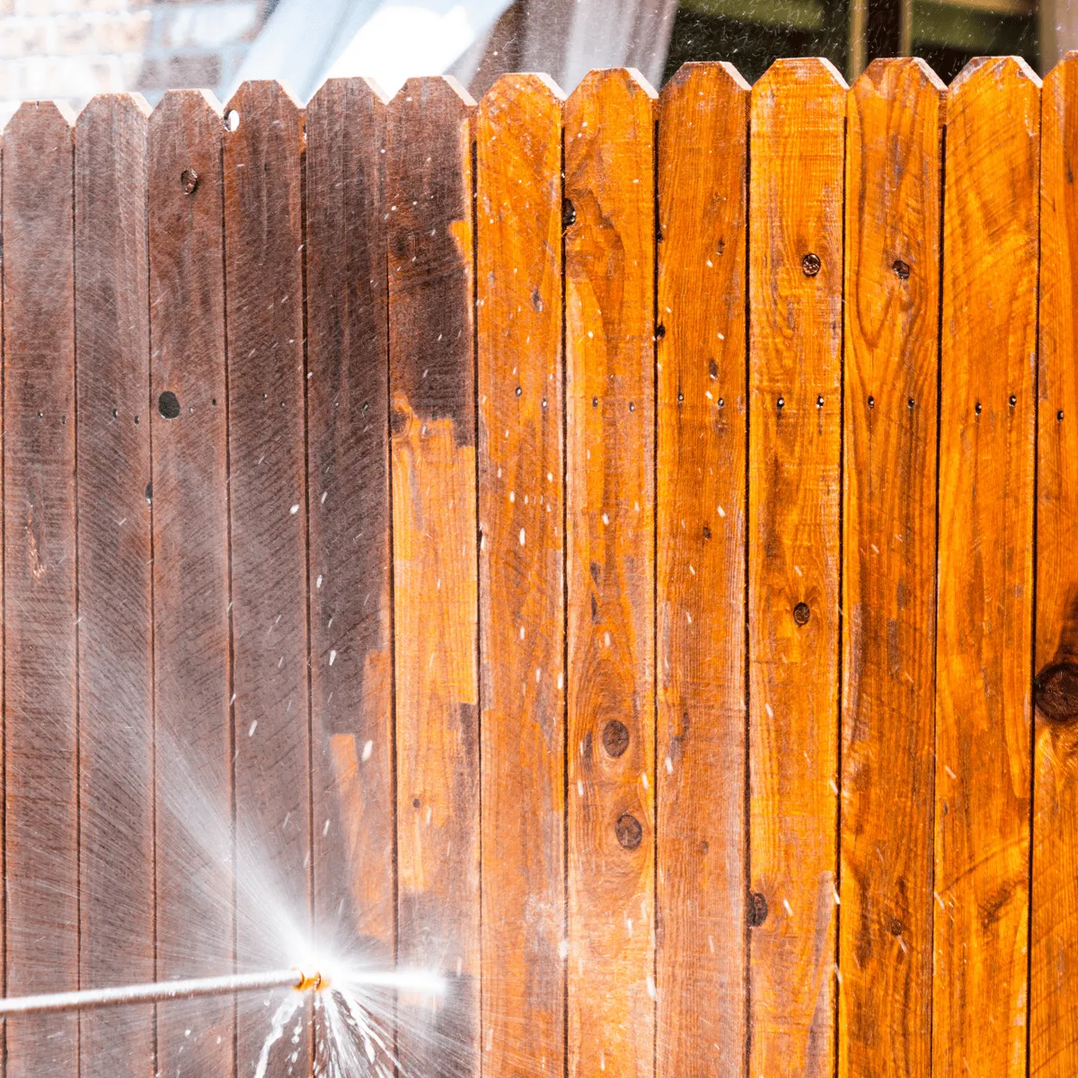 Fence Cleaning in Adelaide