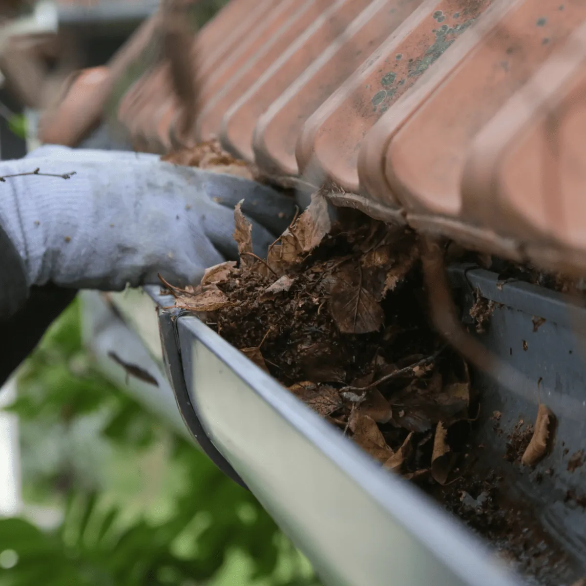 Adelaide Hills Gutter Cleaning