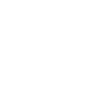 Brand Logo on the footer