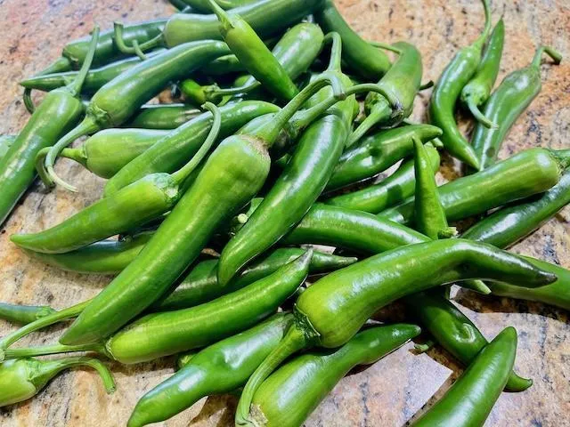 A pile of hot green chilli peppers