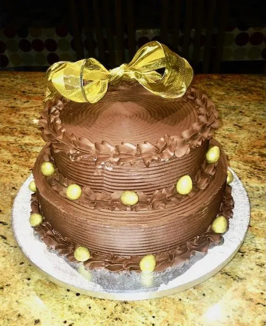 Two tiered chocolate