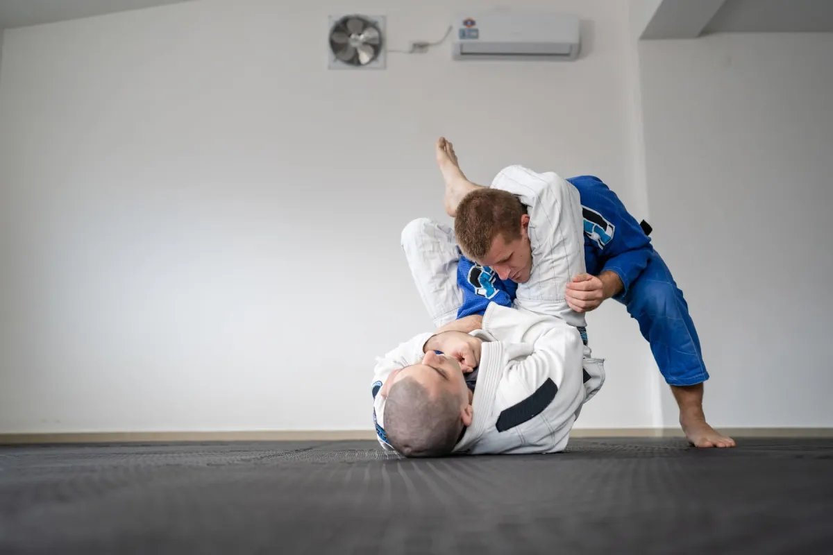 Brazilian Jiu-Jitsu partner practice