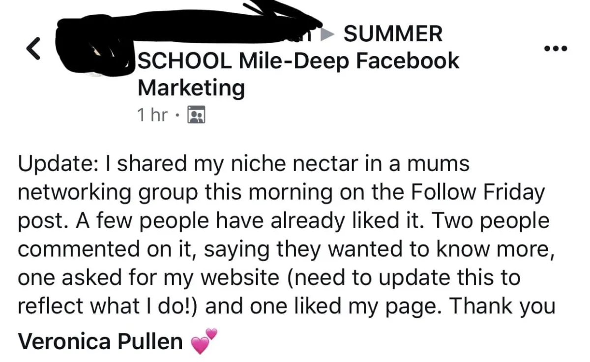 Result from posting Niche Nectar in a post comment