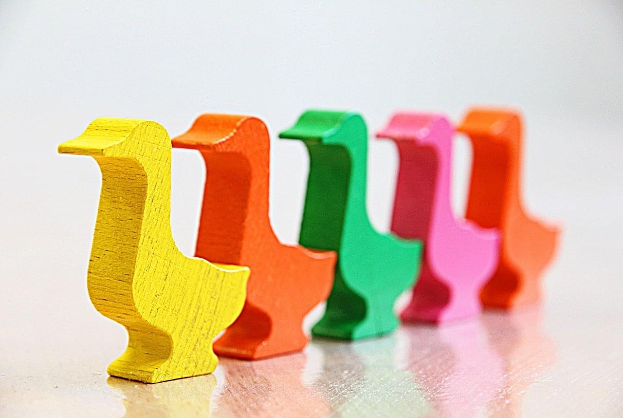 get your ducks in a row