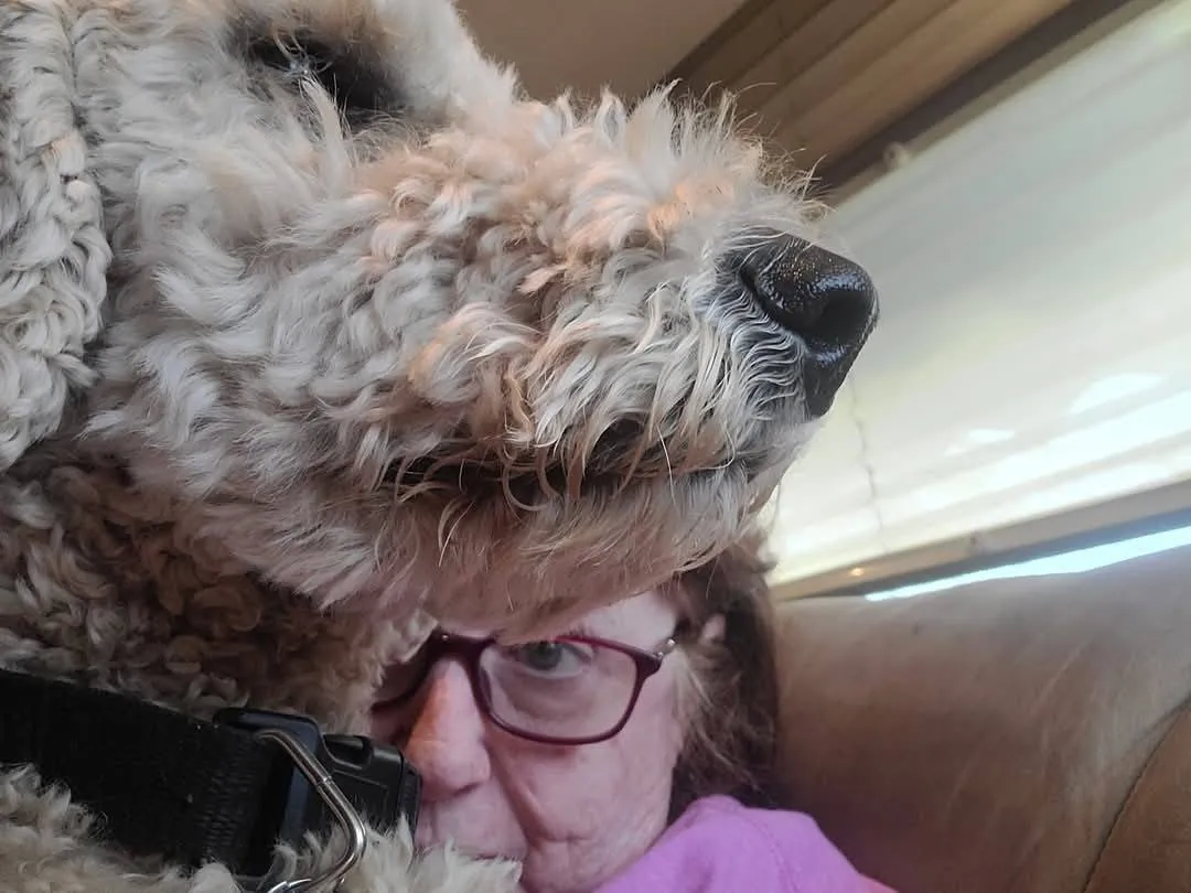 Working From Home with River