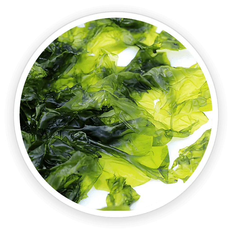  Nori Yaki Extract Powder