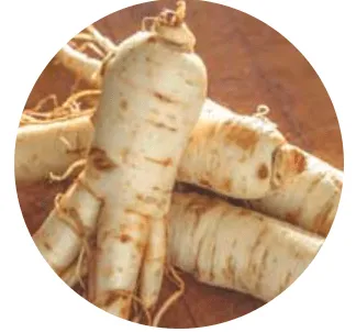 Cortexi Ingredients 5
