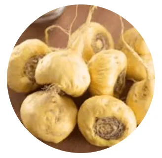 Cortexi Ingredients 8