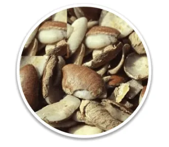 Dika Nut
