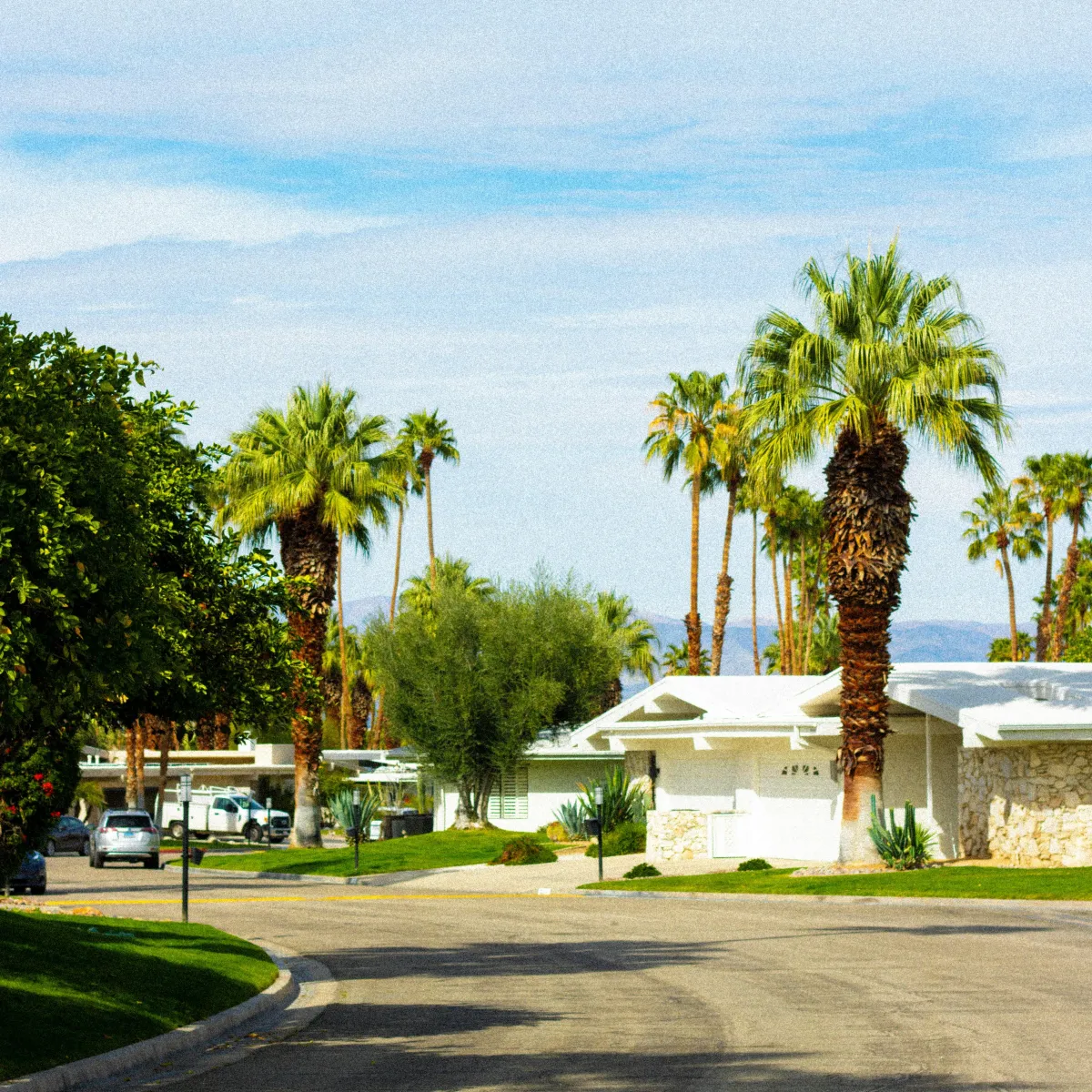Road with Trees and houses