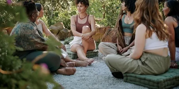 green trees covered by fog