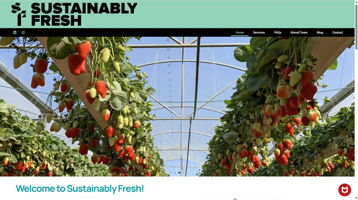 Sustainably Fresh Website Design