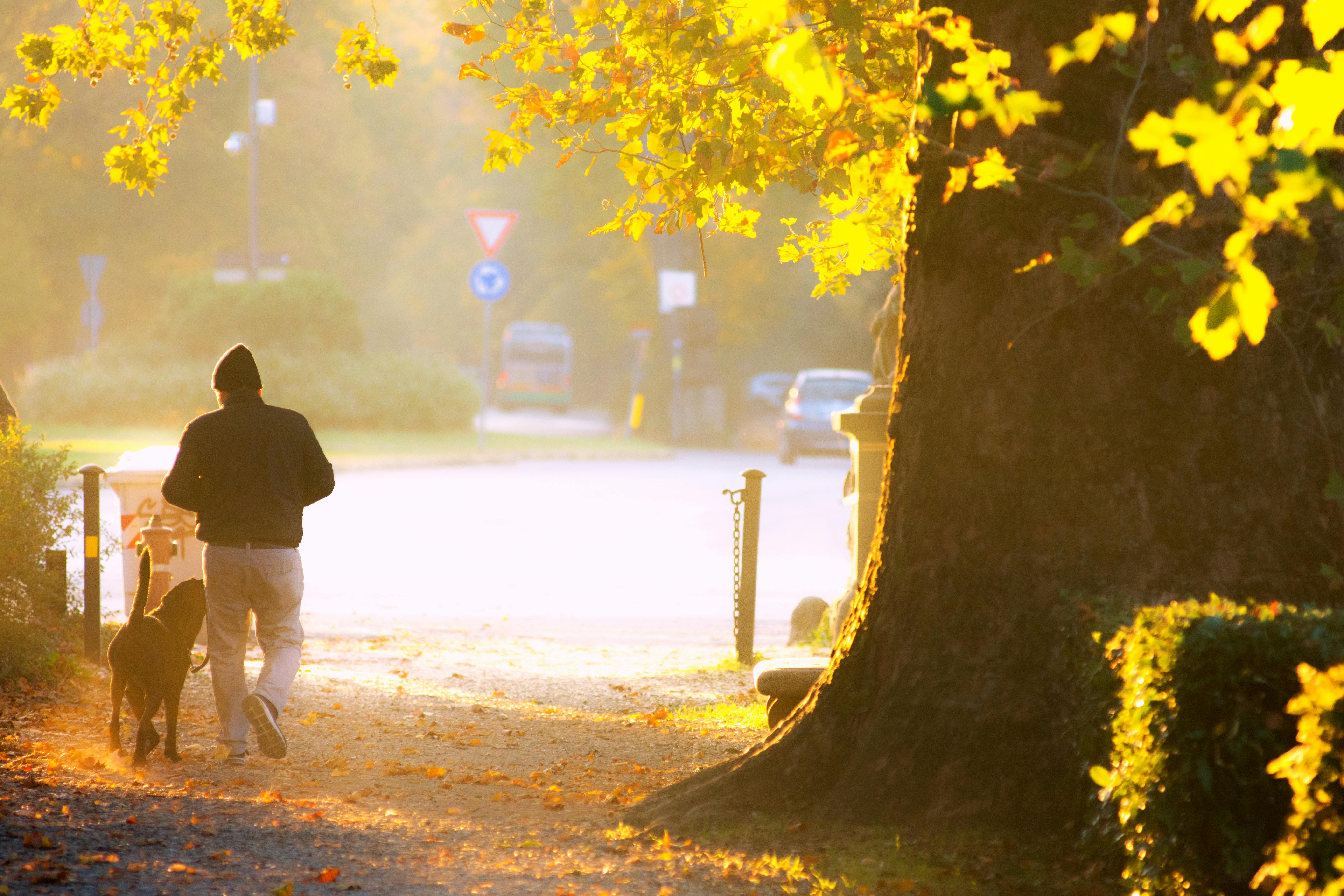 Sleep, Sunlight, and the Habits That Actually Move the Needle