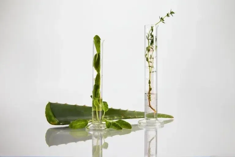 Avera Hair Studio salon showcasing Eufora's natural hair care products and environmentally conscious services.