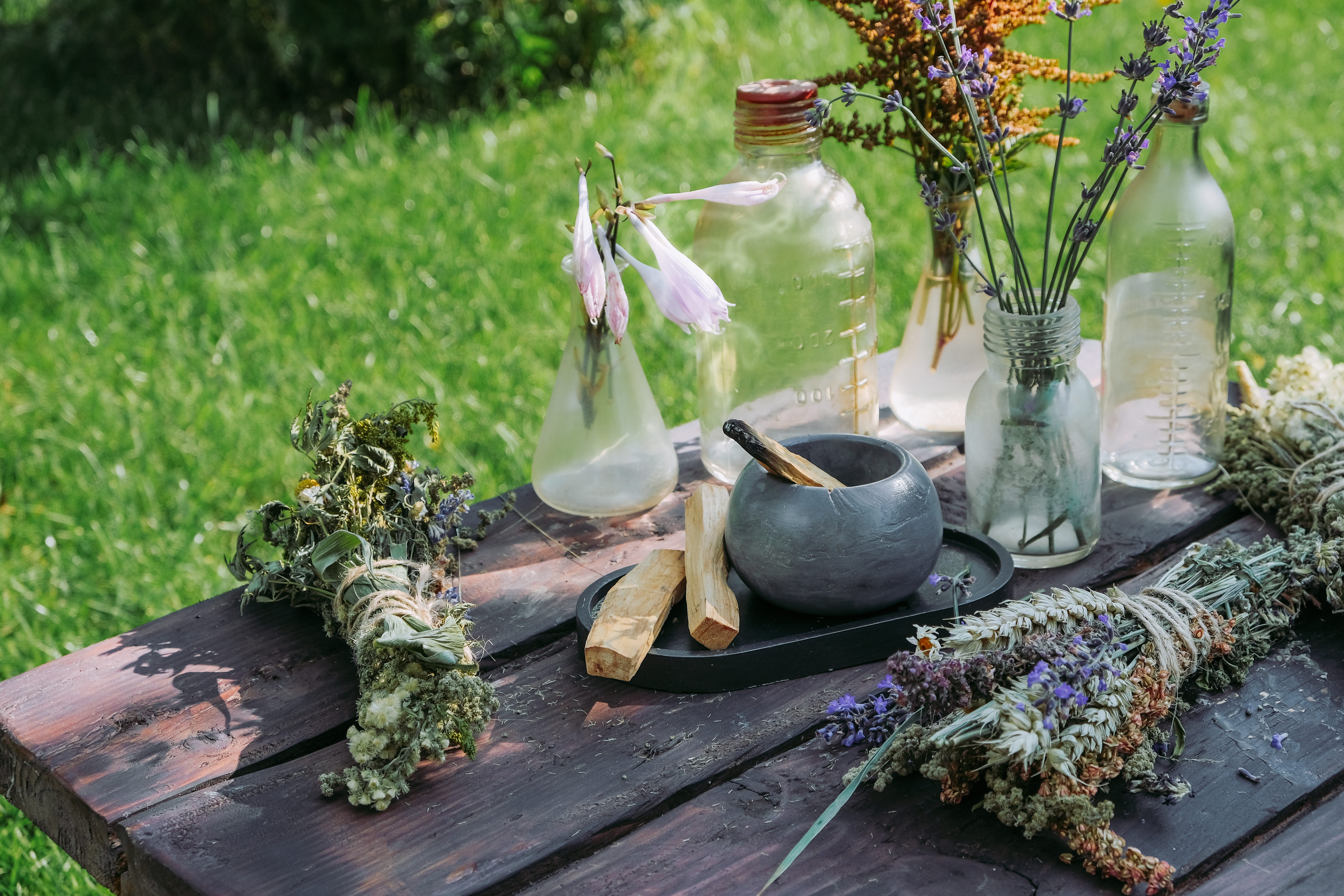 The Plants Are Already Speaking