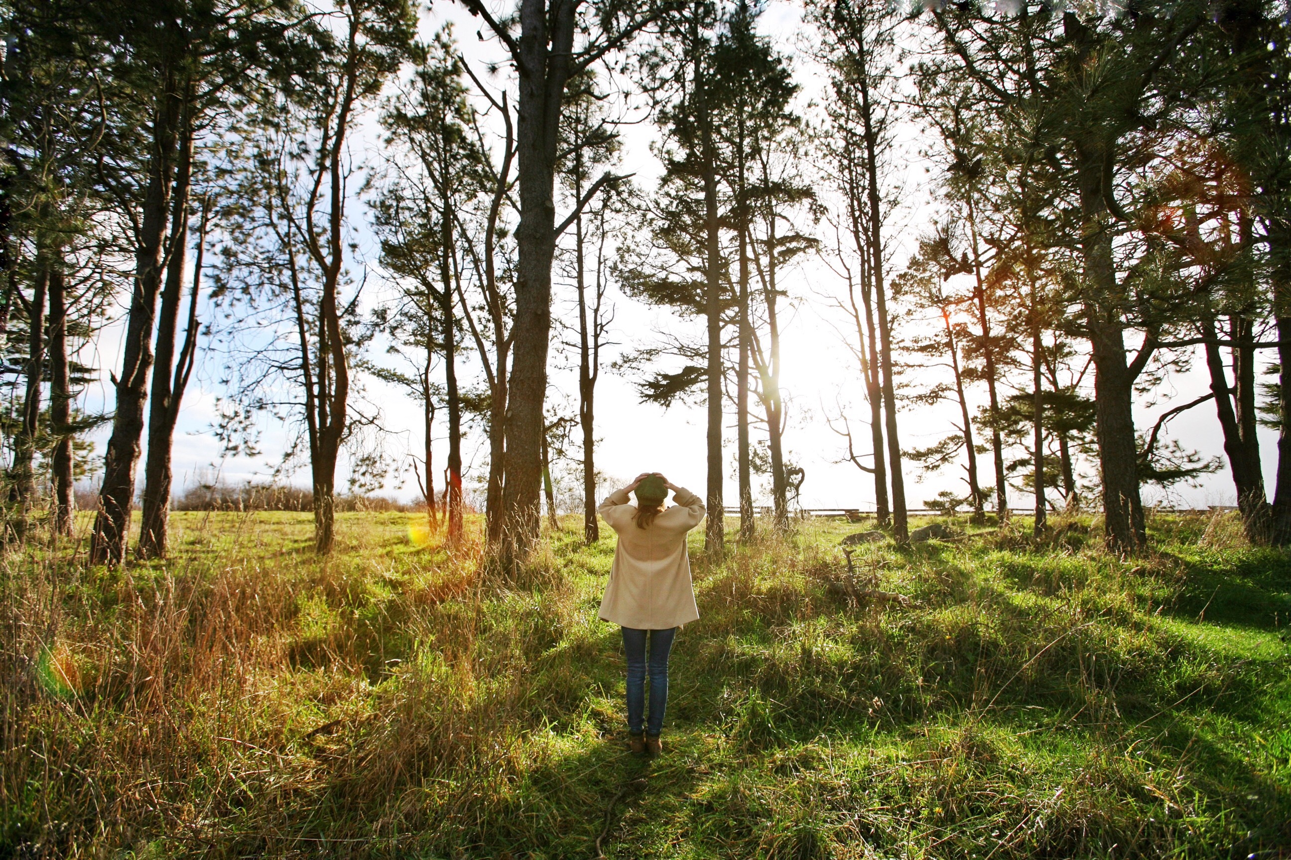 Singing to the Trees