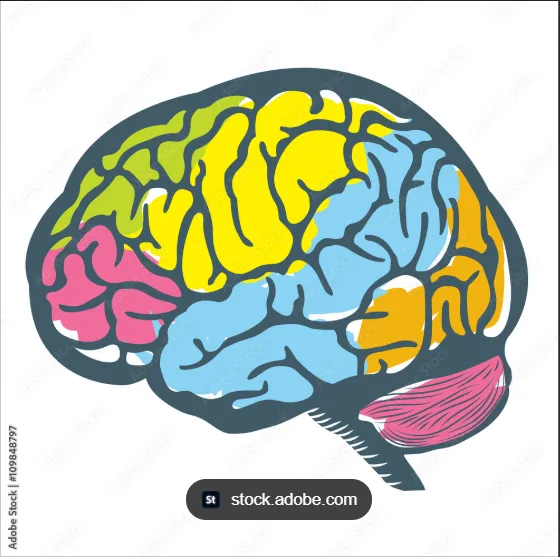 20 Practical Insights for Adults Diagnosed with Autism Later in Life