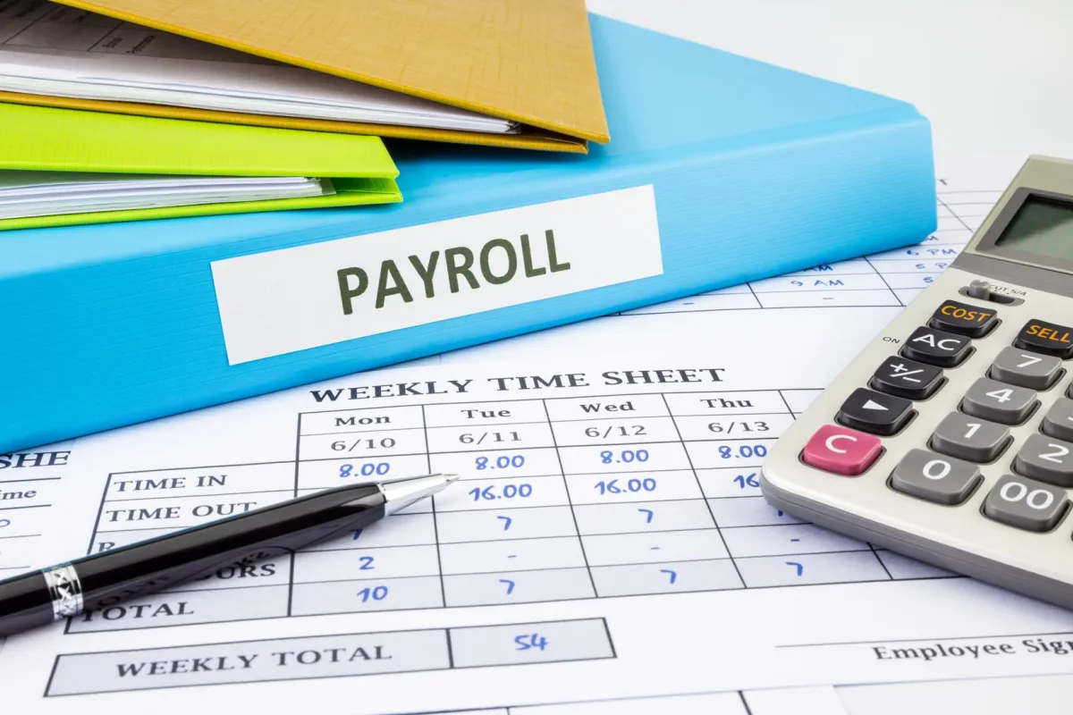 Professional Payroll Processing and Management Services