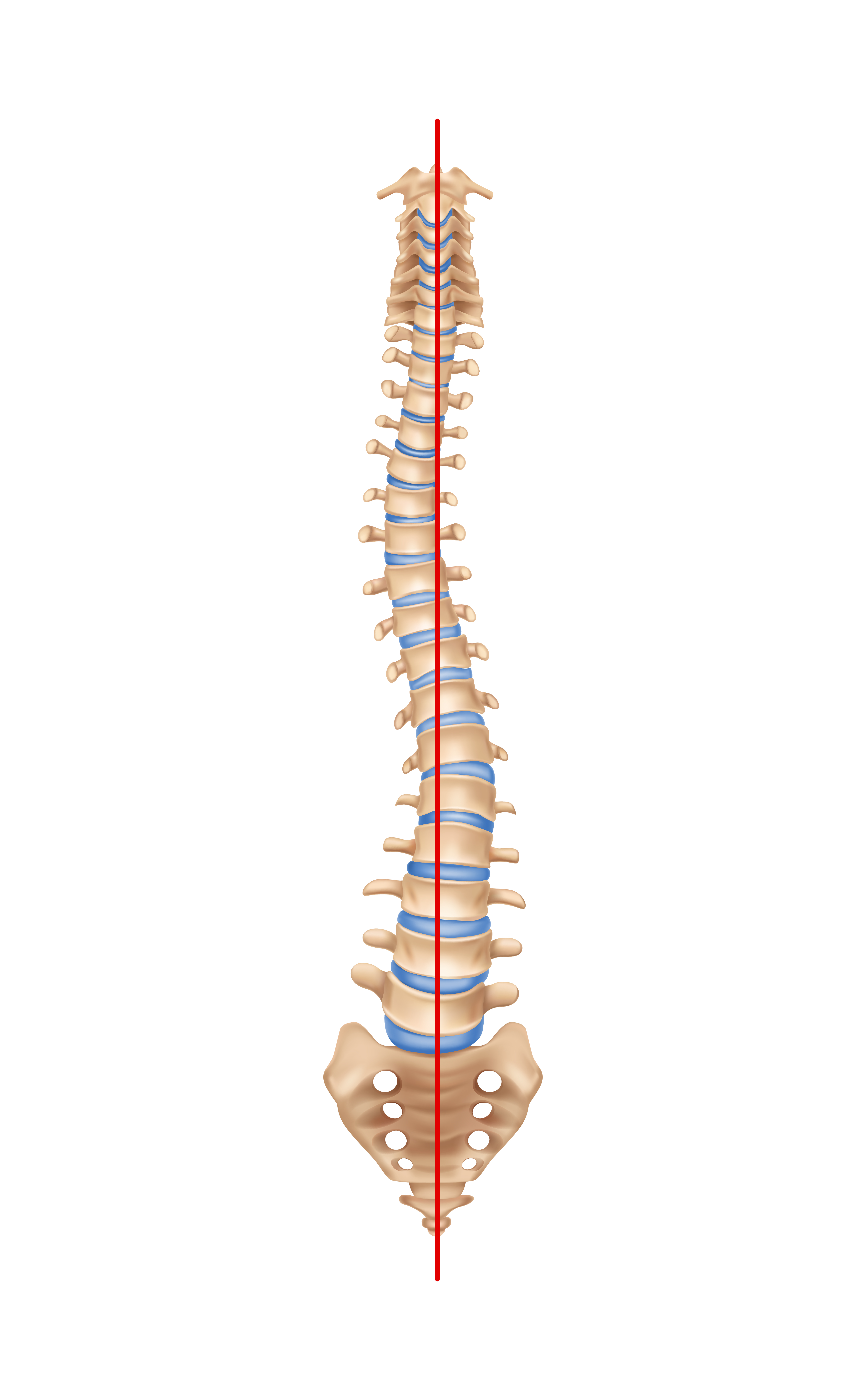 Chiropractor performing a tactile, realistic joint adjustment on a patient in a clinic setting