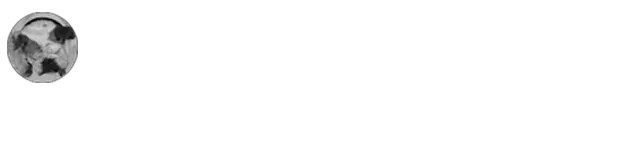 Mammoplasty Verified Review
