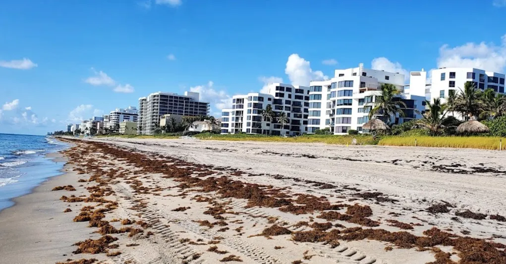 Oceanfront Park Beach