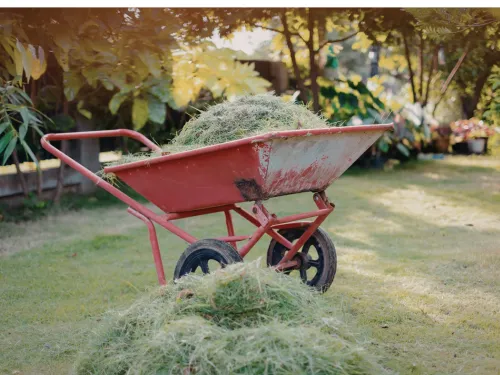 Yard Maintenance in Collegeville