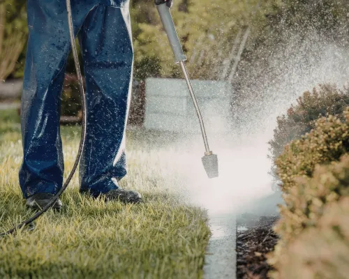 Limerick Yard Maintenance