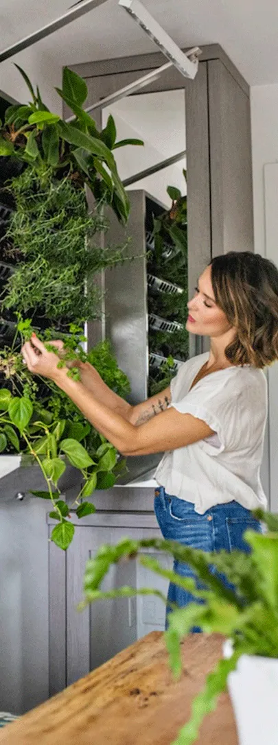 indoor growing plants vertically